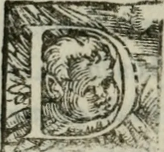 An illustration from I marmi del Doni, academico peregrino, 1552, leaf 255