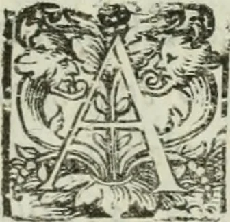 An illustration from I marmi del Doni, academico peregrino, 1552, leaf 268