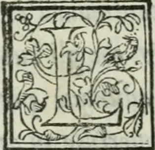 An illustration from I marmi del Doni, academico peregrino, 1552, leaf 276