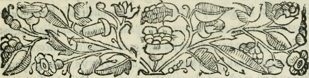 An illustration from I marmi del Doni, academico peregrino, 1552, leaf 294