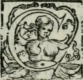 An illustration from I marmi del Doni, academico peregrino, 1552, leaf 307