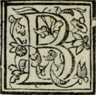 An illustration from I marmi del Doni, academico peregrino, 1552, leaf 333