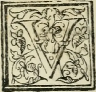 An illustration from I marmi del Doni, academico peregrino, 1552, leaf 350