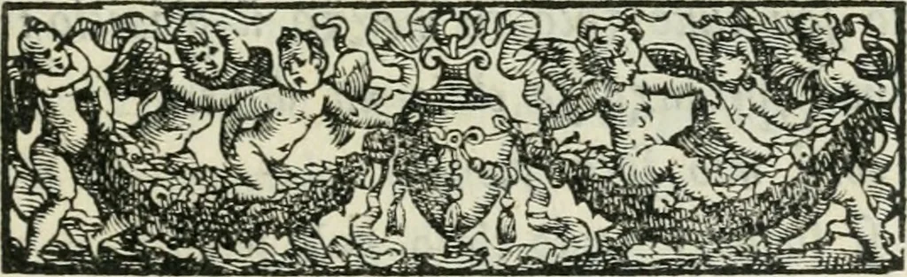An illustration from I marmi del Doni, academico peregrino, 1552, leaf 356