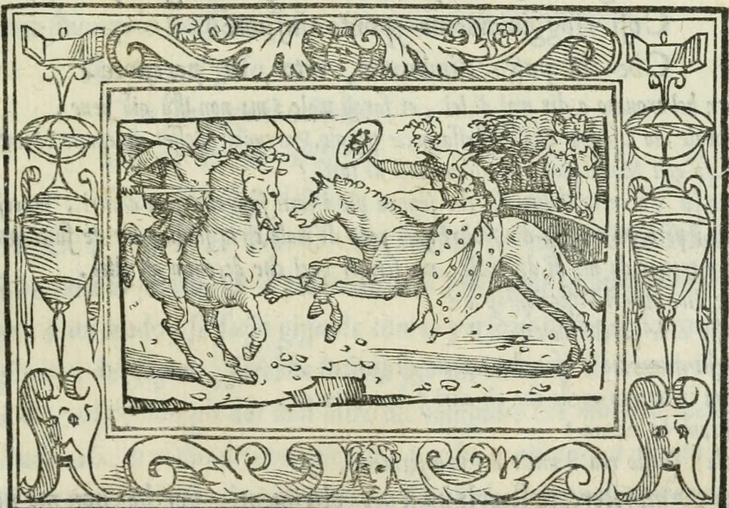 An illustration from I marmi del Doni, academico peregrino, 1552, leaf 374