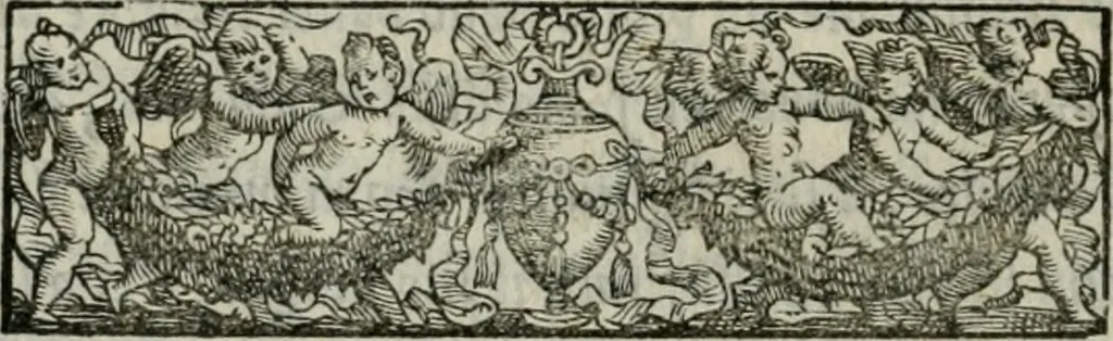An illustration from I marmi del Doni, academico peregrino, 1552, leaf 383