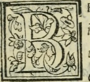 An illustration from I marmi del Doni, academico peregrino, 1552, leaf 444