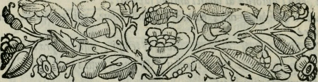 An illustration from I marmi del Doni, academico peregrino, 1552, leaf 471
