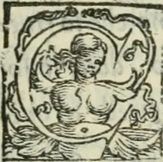 An illustration from I marmi del Doni, academico peregrino, 1552, leaf 490