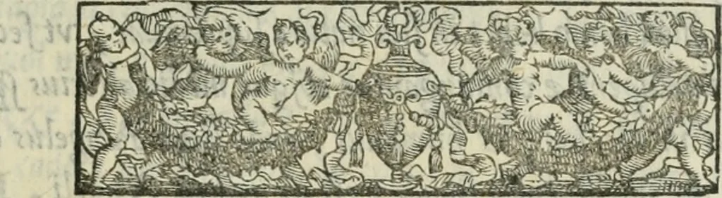 An illustration from I marmi del Doni, academico peregrino, 1552, leaf 508