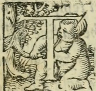 An illustration from I marmi del Doni, academico peregrino, 1552, leaf 516