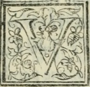 An illustration from I marmi del Doni, academico peregrino, 1552, leaf 536