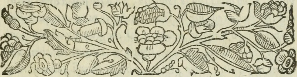 An illustration from I marmi del Doni, academico peregrino, 1552, leaf 8