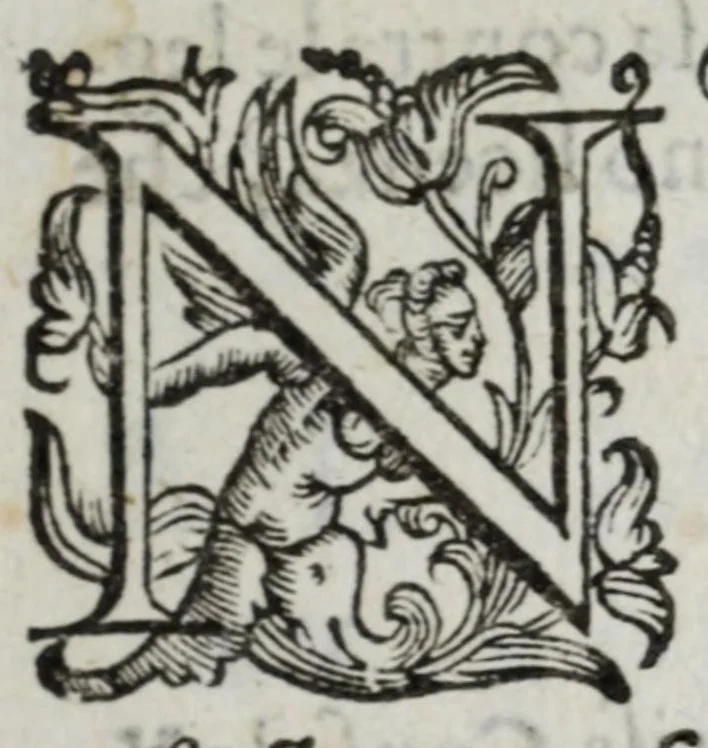 An illustration from I marmi del Doni, academico peregrino, cioè, Ragionamenti introdotti a farsi da varie conditioni d'huomini, à luoghi di honesto piacere in Firenze : ripieno di discorsi in varie scienze & discipline ; diviso in quattro libri .., 1609, leaf 11