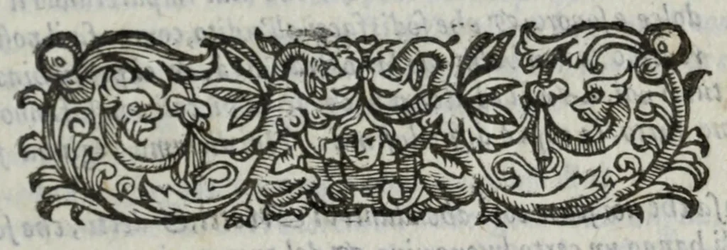 An illustration from I marmi del Doni, academico peregrino, cioè, Ragionamenti introdotti a farsi da varie conditioni d'huomini, à luoghi di honesto piacere in Firenze : ripieno di discorsi in varie scienze & discipline ; diviso in quattro libri .., 1609, leaf 119