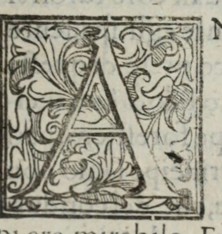 An illustration from I marmi del Doni, academico peregrino, cioè, Ragionamenti introdotti a farsi da varie conditioni d'huomini, à luoghi di honesto piacere in Firenze : ripieno di discorsi in varie scienze & discipline ; diviso in quattro libri .., 1609, leaf 233