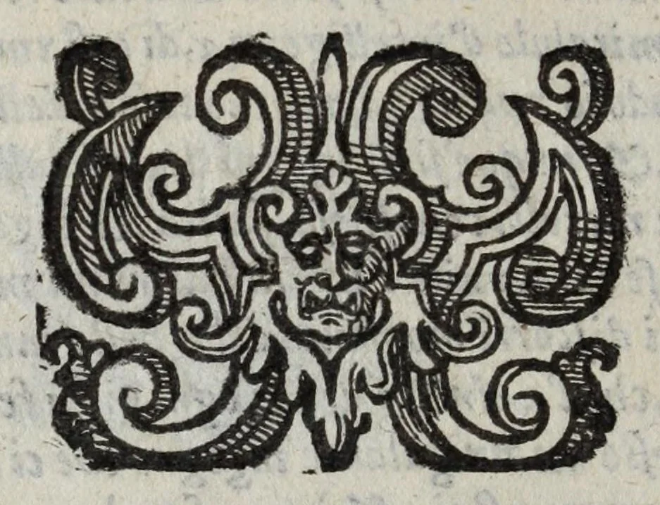 An illustration from I marmi del Doni, academico peregrino, cioè, Ragionamenti introdotti a farsi da varie conditioni d'huomini, à luoghi di honesto piacere in Firenze : ripieno di discorsi in varie scienze & discipline ; diviso in quattro libri .., 1609, leaf 256