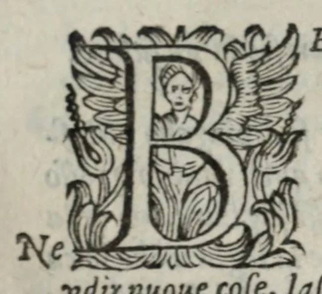An illustration from I marmi del Doni, academico peregrino, cioè, Ragionamenti introdotti a farsi da varie conditioni d'huomini, à luoghi di honesto piacere in Firenze : ripieno di discorsi in varie scienze & discipline ; diviso in quattro libri .., 1609, leaf 257
