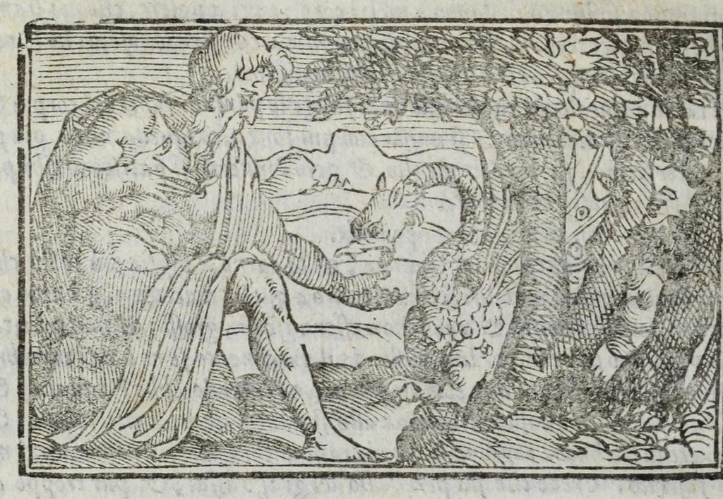 An illustration from I marmi del Doni, academico peregrino, cioè, Ragionamenti introdotti a farsi da varie conditioni d'huomini, à luoghi di honesto piacere in Firenze : ripieno di discorsi in varie scienze & discipline ; diviso in quattro libri .., 1609, leaf 266