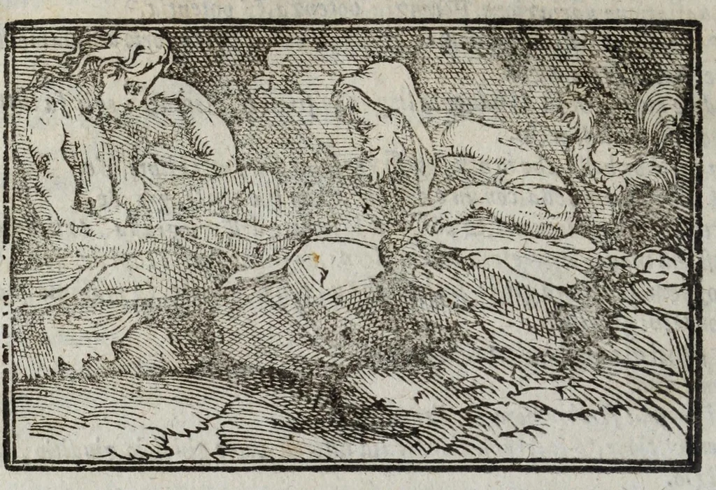 An illustration from I marmi del Doni, academico peregrino, cioè, Ragionamenti introdotti a farsi da varie conditioni d'huomini, à luoghi di honesto piacere in Firenze : ripieno di discorsi in varie scienze & discipline ; diviso in quattro libri .., 1609, leaf 298