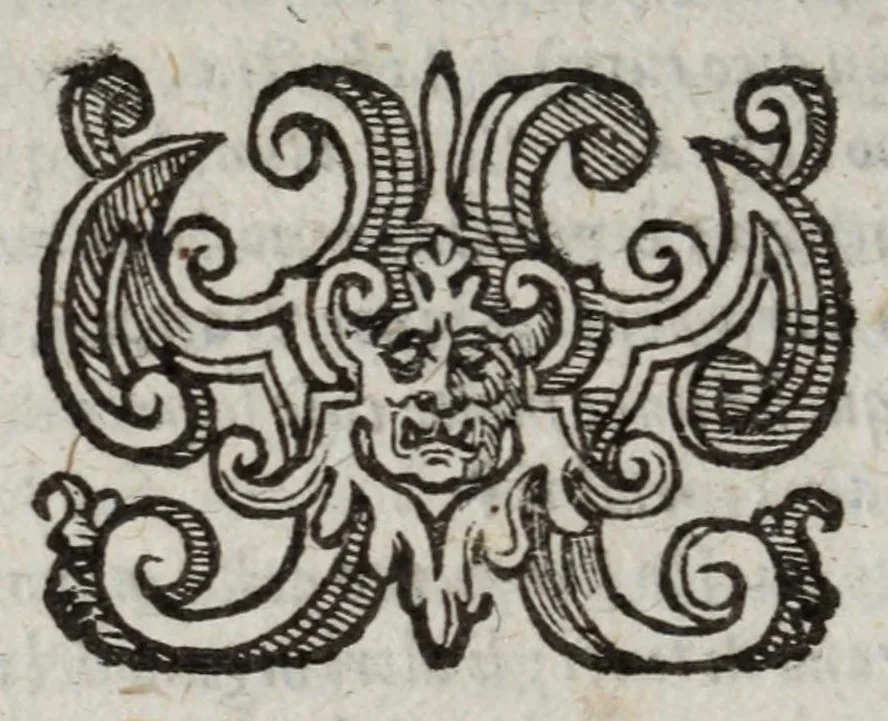 An illustration from I marmi del Doni, academico peregrino, cioè, Ragionamenti introdotti a farsi da varie conditioni d'huomini, à luoghi di honesto piacere in Firenze : ripieno di discorsi in varie scienze & discipline ; diviso in quattro libri .., 1609, leaf 300