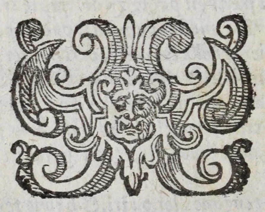 An illustration from I marmi del Doni, academico peregrino, cioè, Ragionamenti introdotti a farsi da varie conditioni d'huomini, à luoghi di honesto piacere in Firenze : ripieno di discorsi in varie scienze & discipline ; diviso in quattro libri .., 1609, leaf 344