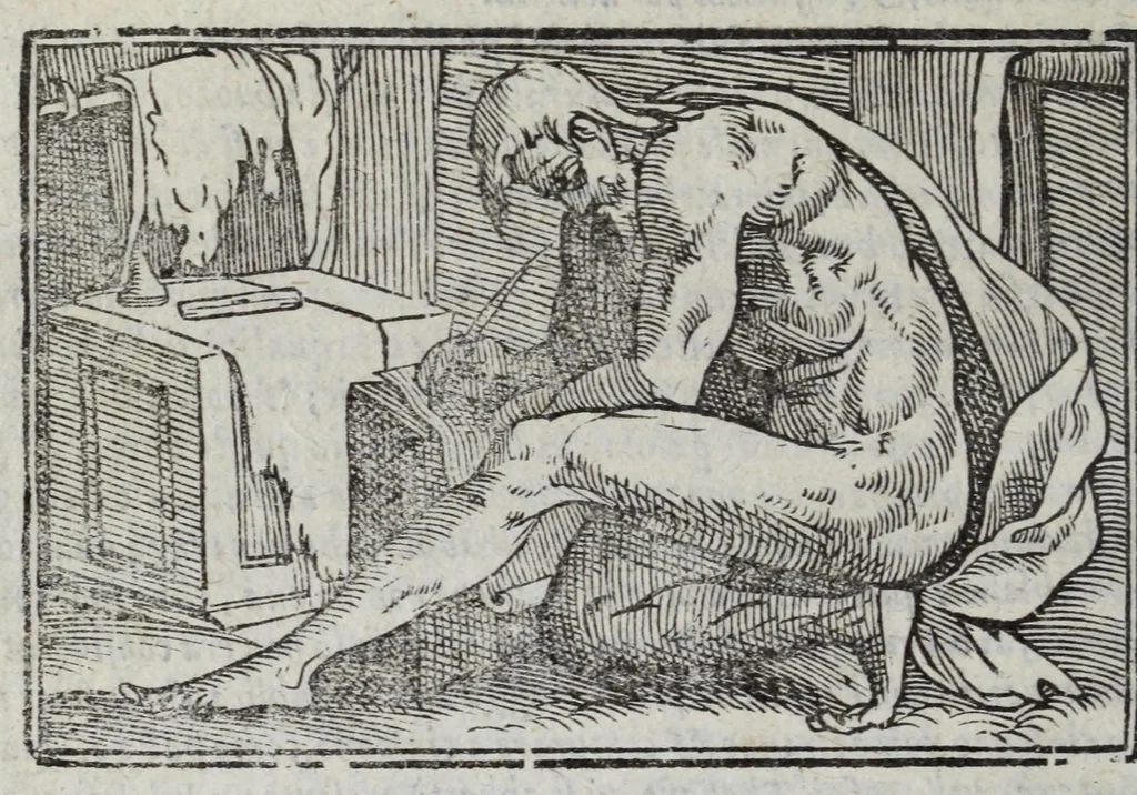An illustration from I marmi del Doni, academico peregrino, cioè, Ragionamenti introdotti a farsi da varie conditioni d'huomini, à luoghi di honesto piacere in Firenze : ripieno di discorsi in varie scienze & discipline ; diviso in quattro libri .., 1609, leaf 374