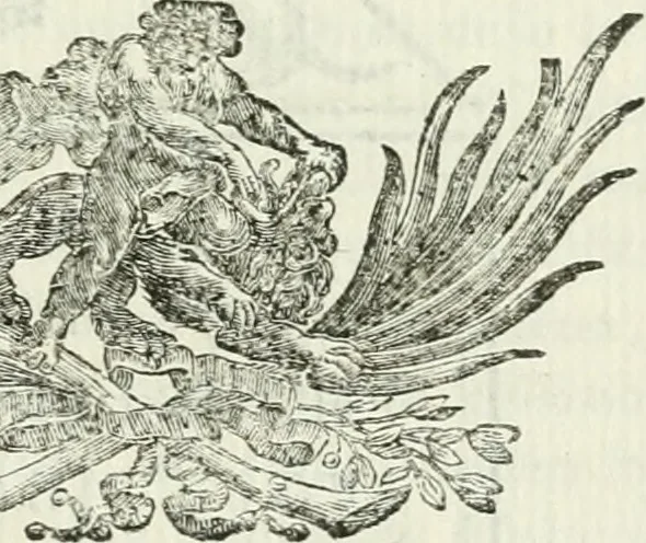 An illustration from I marmi riccardiani difesi dalle censure del marchese Scipione Maffei, 1781, leaf 192