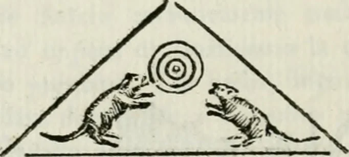 An illustration from I marmi riccardiani difesi dalle censure del marchese Scipione Maffei, 1781, leaf 193