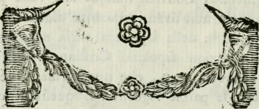 An illustration from I marmi riccardiani difesi dalle censure del marchese Scipione Maffei, 1781, leaf 305