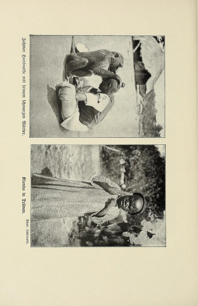 An illustration from Im Banne der Furcht : Sitten und Gebräuche der Wapare in Ostafrika, 1922, leaf 150