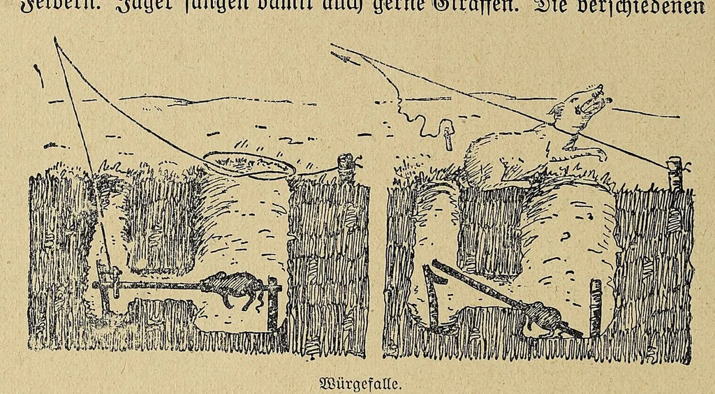 An illustration from Im Banne der Furcht : Sitten und Gebräuche der Wapare in Ostafrika, 1922, leaf 164