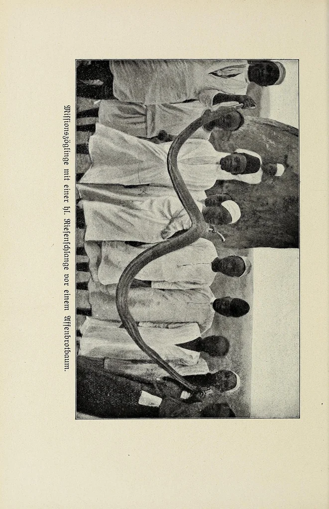 An illustration from Im Banne der Furcht : Sitten und Gebräuche der Wapare in Ostafrika, 1922, leaf 204