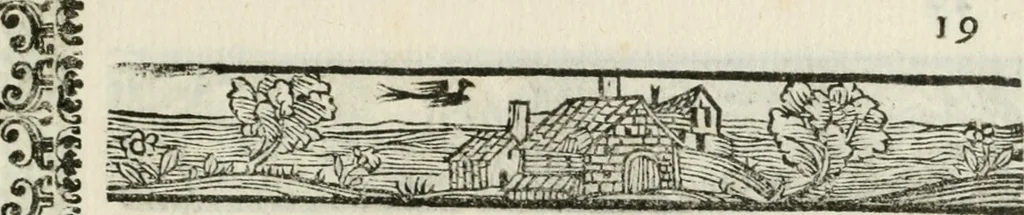 An illustration from Imeneo trionfante nelle reali nozze dell' A. S. di P. P. con la ser.a principes.a di Toscana, 1628, leaf 24