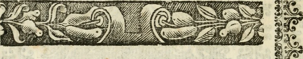 An illustration from Imeneo trionfante nelle reali nozze dell' A. S. di P. P. con la ser.a principes.a di Toscana, 1628, leaf 39