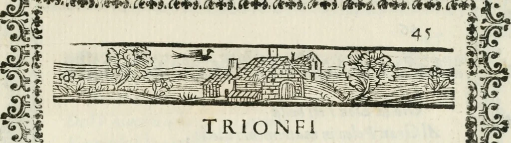 An illustration from Imeneo trionfante nelle reali nozze dell' A. S. di P. P. con la ser.a principes.a di Toscana, 1628, leaf 52