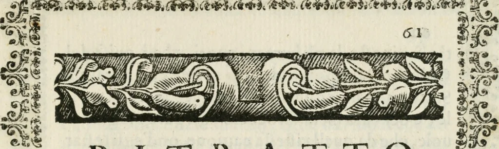 An illustration from Imeneo trionfante nelle reali nozze dell' A. S. di P. P. con la ser.a principes.a di Toscana, 1628, leaf 68