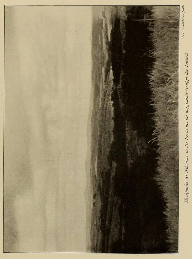 An illustration from Im Hochland von Mittel-Kamerun .., 1914, leaf 135
