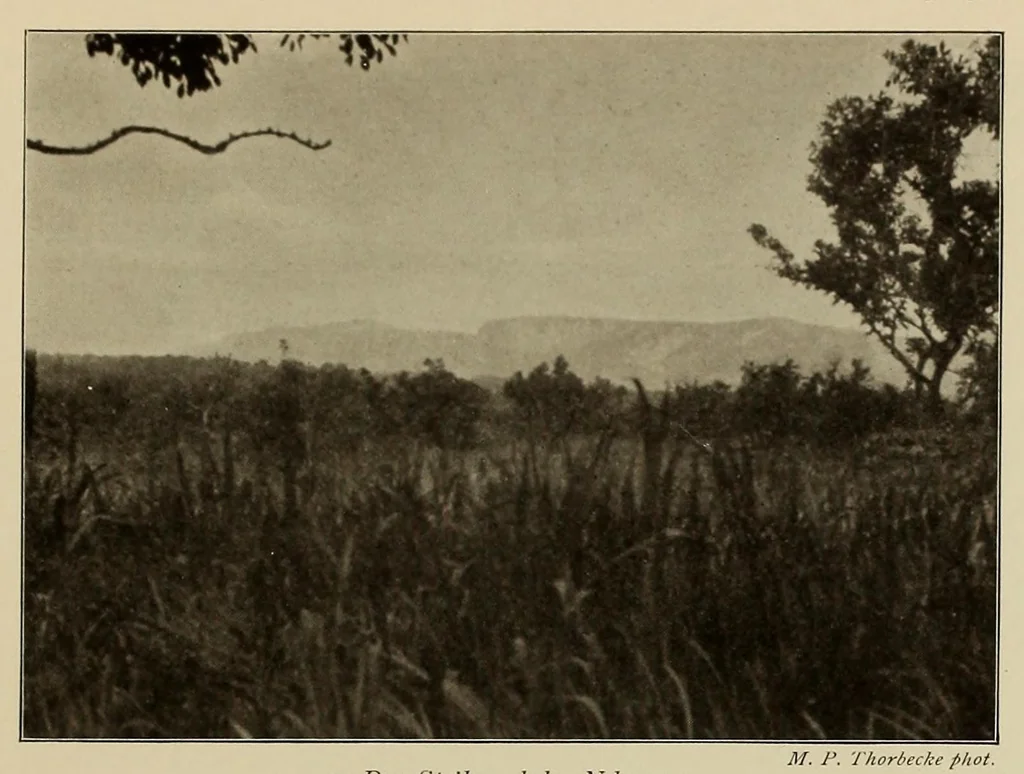 An illustration from Im Hochland von Mittel-Kamerun .., 1914, leaf 151