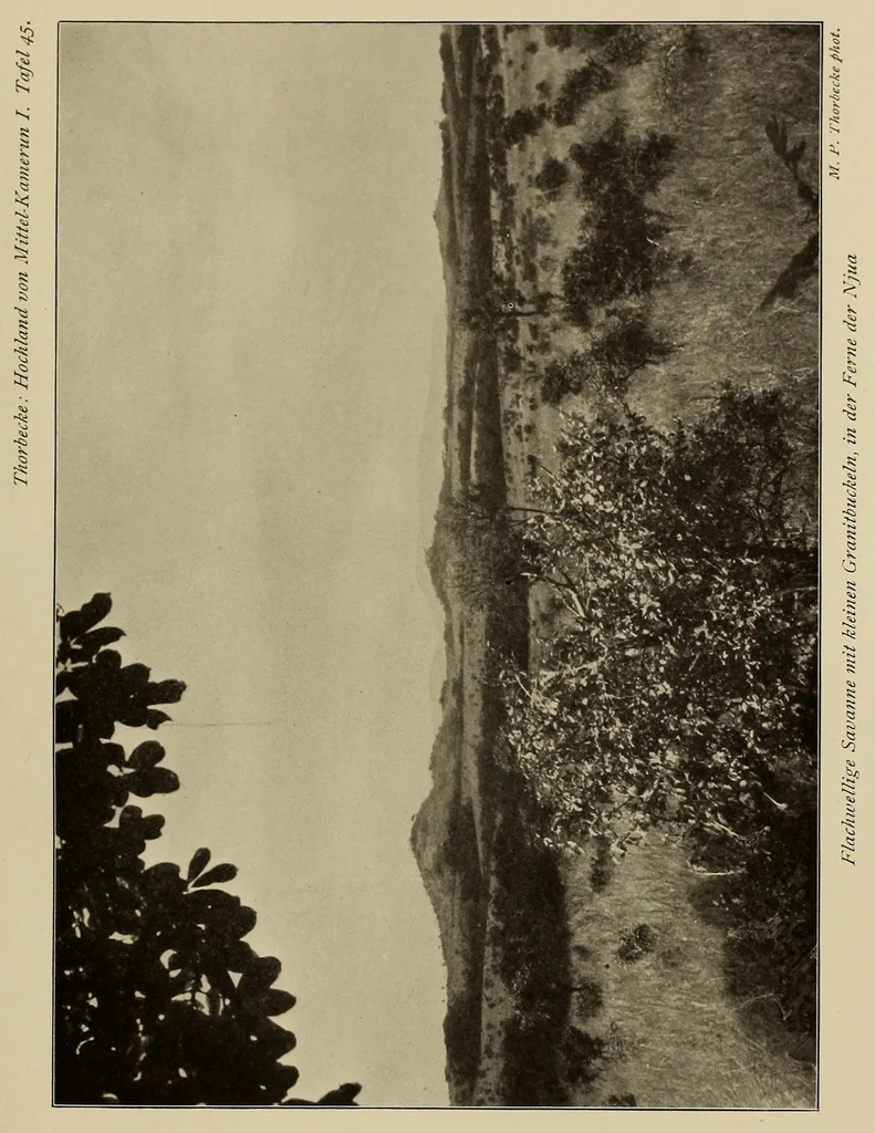 An illustration from Im Hochland von Mittel-Kamerun .., 1914, leaf 205