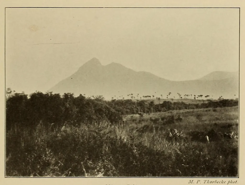 An illustration from Im Hochland von Mittel-Kamerun .., 1914, leaf 215