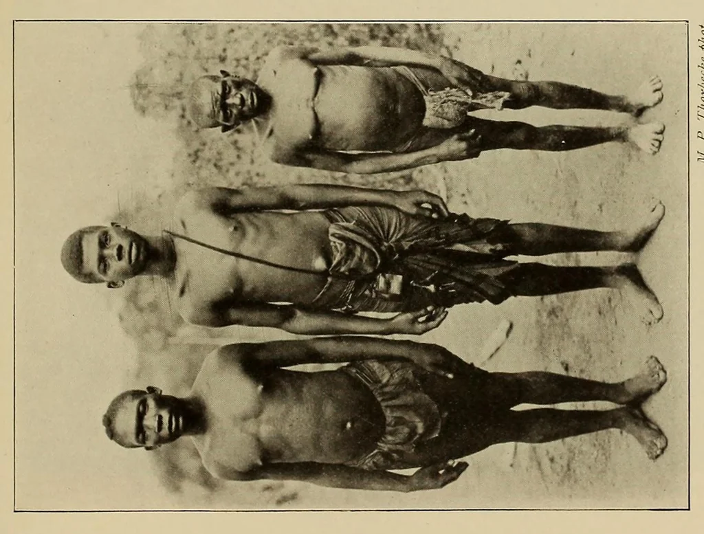 An illustration from Im Hochland von Mittel-Kamerun .., 1914, leaf 225