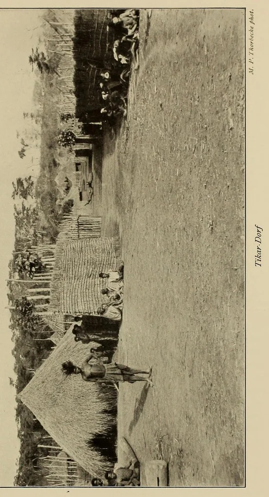 An illustration from Im Hochland von Mittel-Kamerun .., 1914, leaf 81