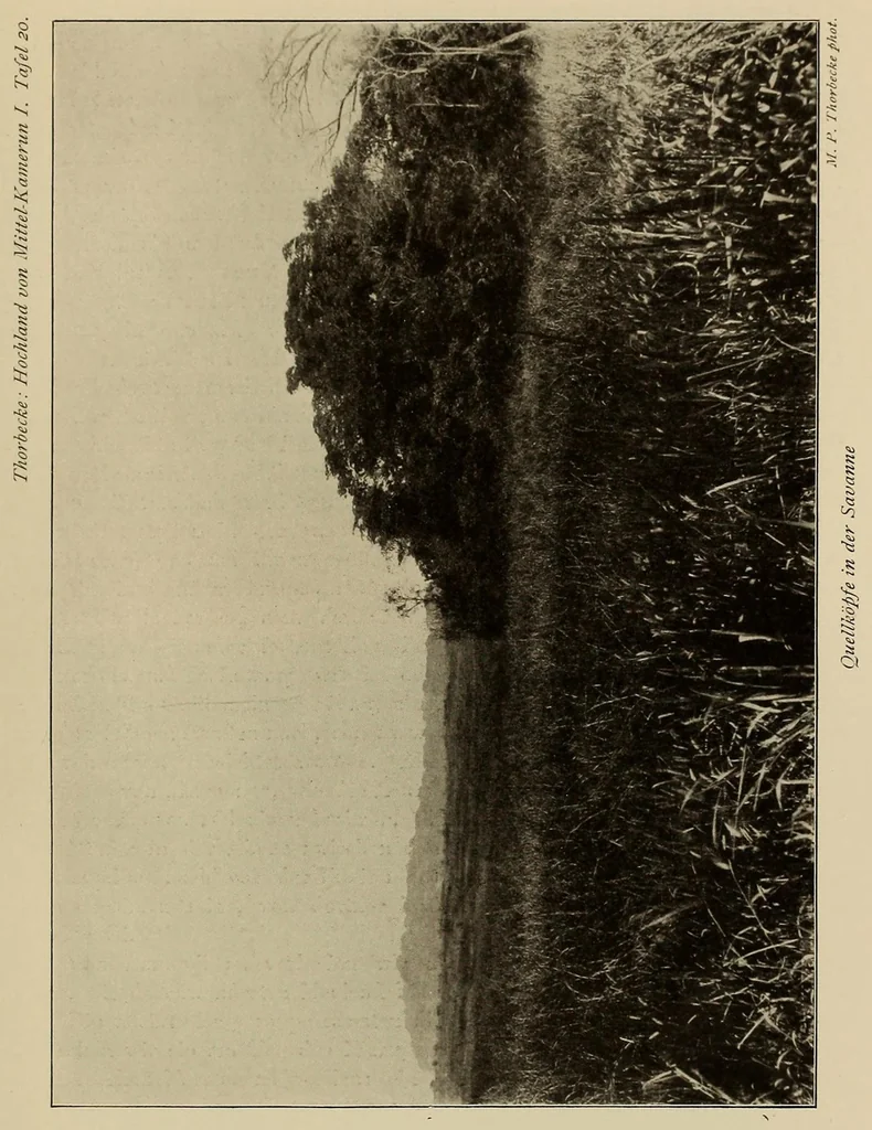 An illustration from Im Hochland von Mittel-Kamerun .., 1914, leaf 97
