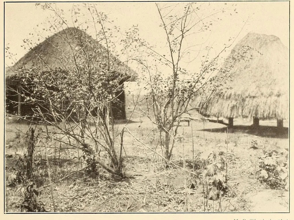 An illustration from Im Hochland von Mittel-Kamerun .., 1914, leaf 109