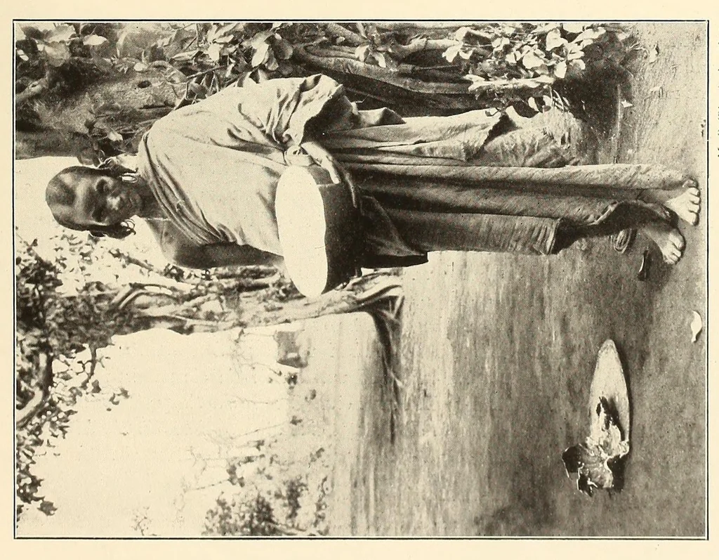 An illustration from Im Hochland von Mittel-Kamerun .., 1914, leaf 123