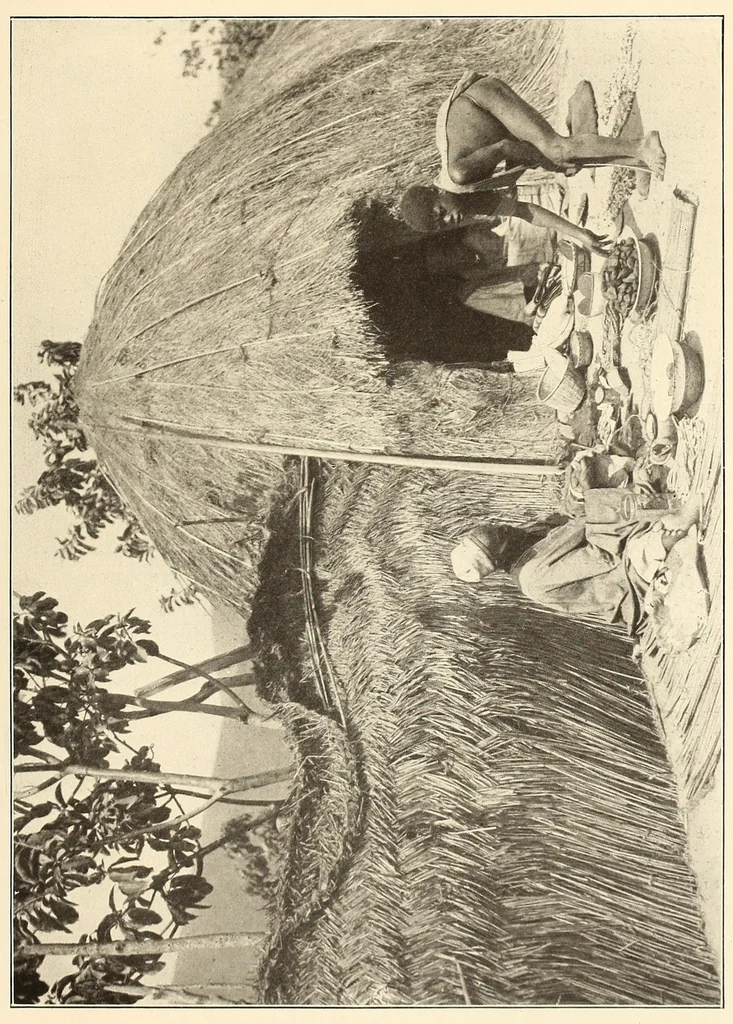 An illustration from Im Hochland von Mittel-Kamerun .., 1914, leaf 133