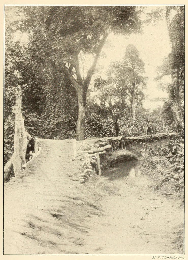 An illustration from Im Hochland von Mittel-Kamerun .., 1914, leaf 145