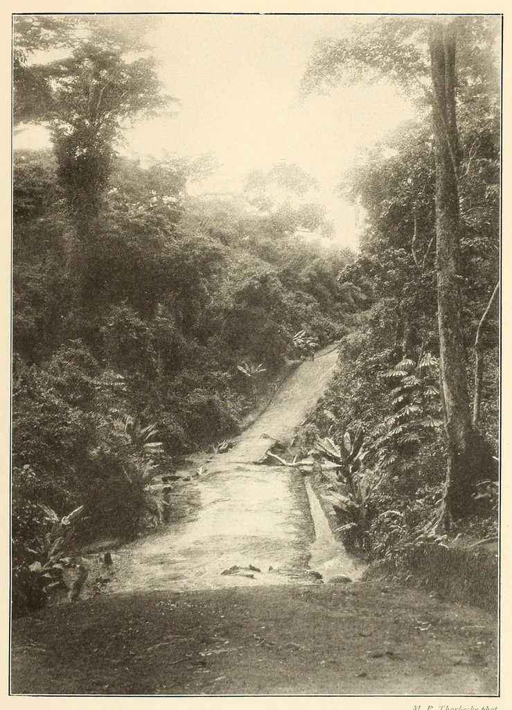 An illustration from Im Hochland von Mittel-Kamerun .., 1914, leaf 155