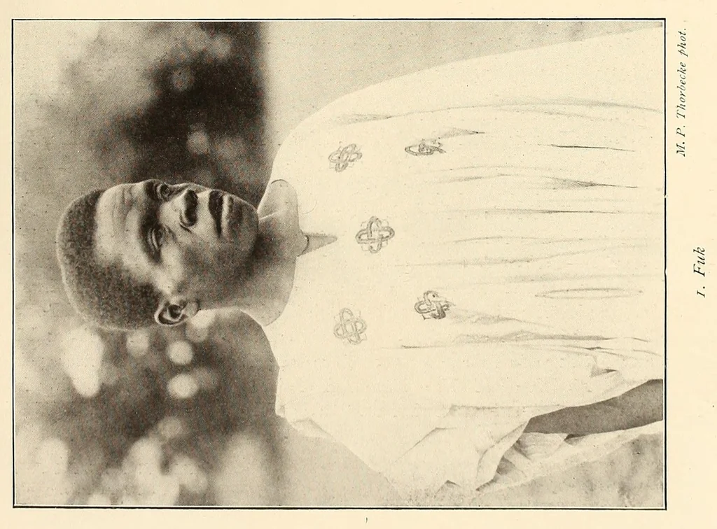An illustration from Im Hochland von Mittel-Kamerun .., 1914, leaf 35